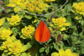 jewel drop of fire - Tiffany jewelry
