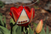 jewel beads - Tiffany jewelry