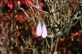 earrings pink long - Tiffany jewelry